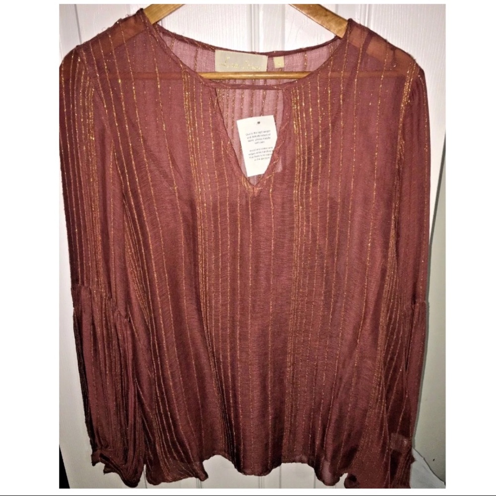Anthropologie Love Sam Metallic Gold Sheer Blush Blouse M NWT